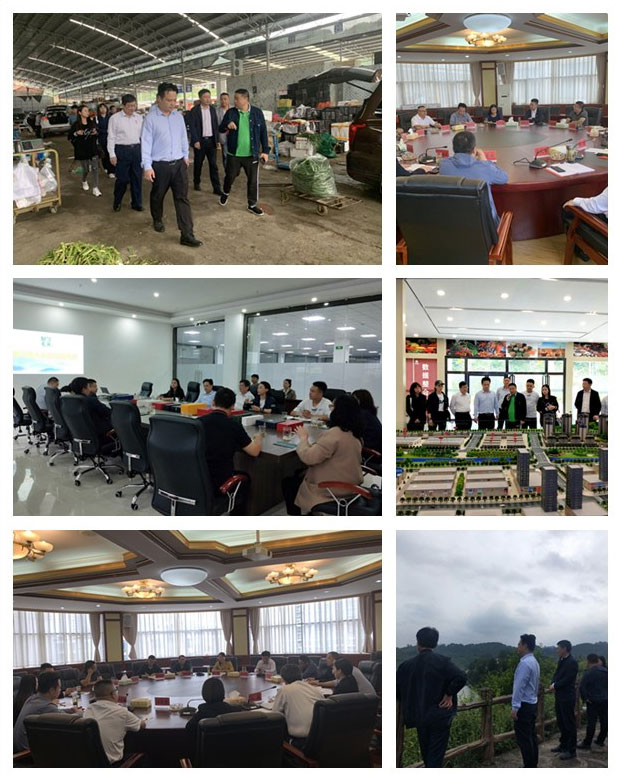 中国·6163天河(股份)有限公司-官方网站