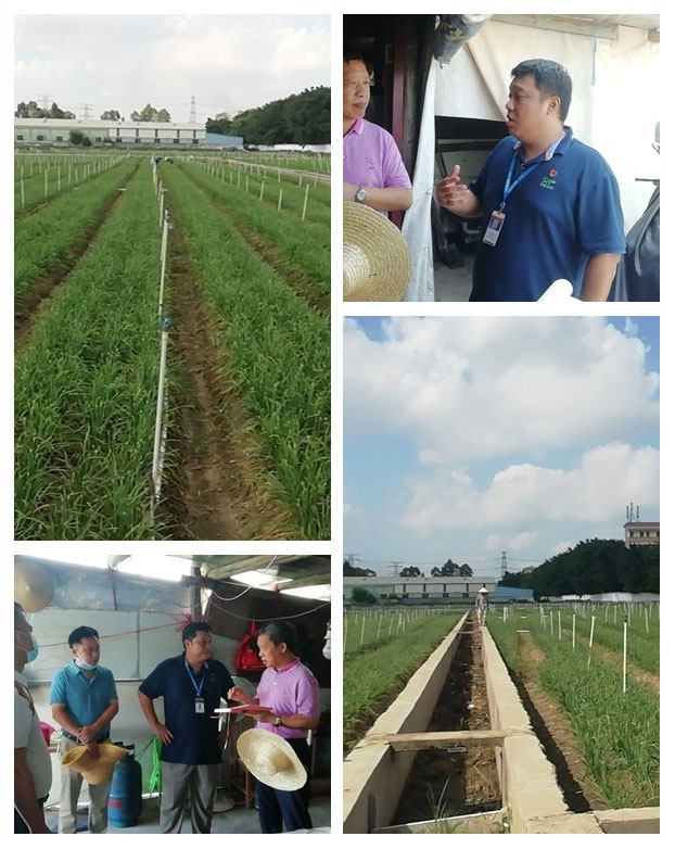 中国·6163天河(股份)有限公司-官方网站