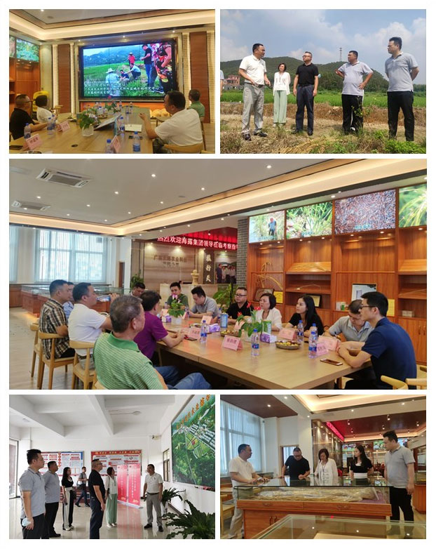 中国·6163天河(股份)有限公司-官方网站