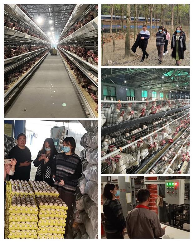 中国·6163天河(股份)有限公司-官方网站