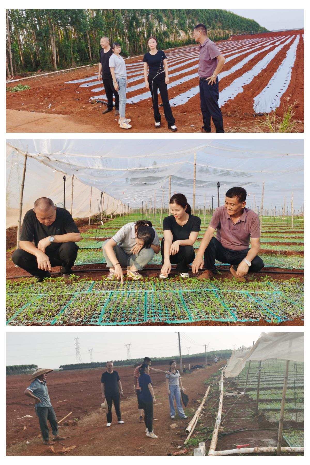 中国·6163天河(股份)有限公司-官方网站