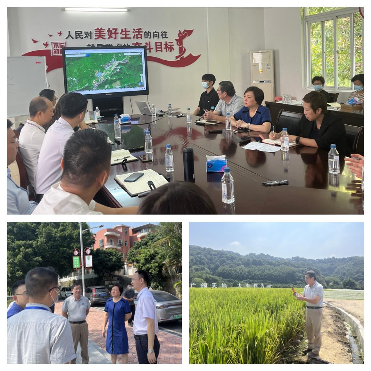 中国·6163天河(股份)有限公司-官方网站