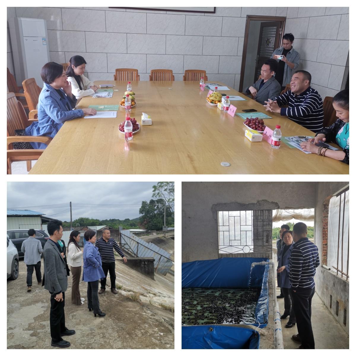 中国·6163天河(股份)有限公司-官方网站