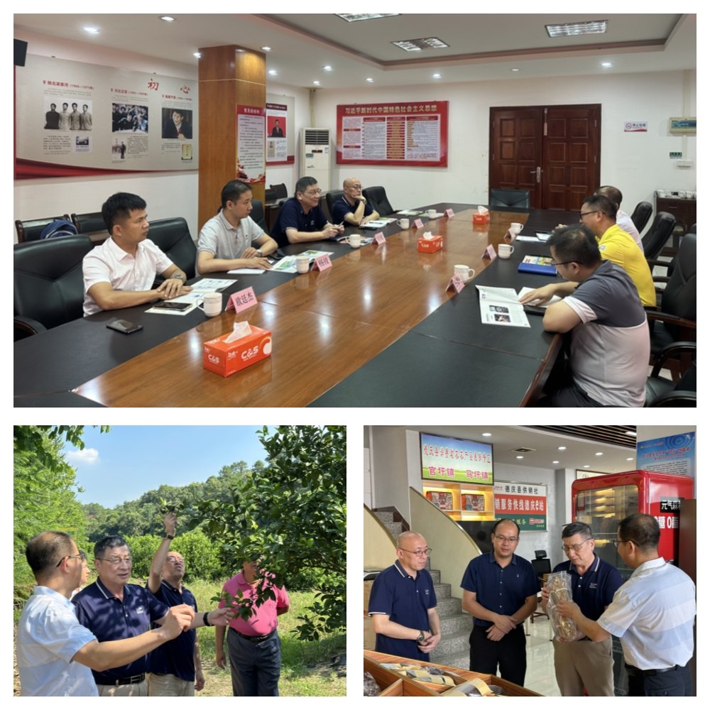 中国·6163天河(股份)有限公司-官方网站