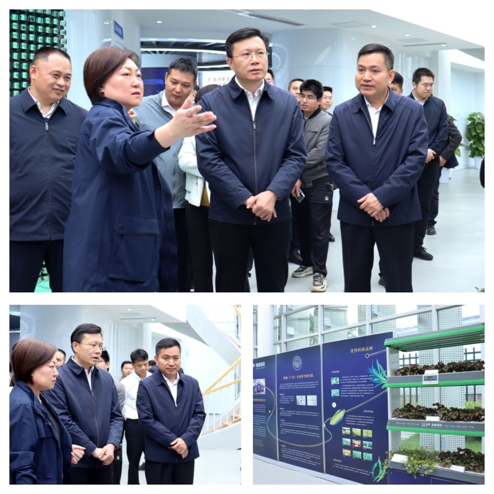 中国·6163天河(股份)有限公司-官方网站