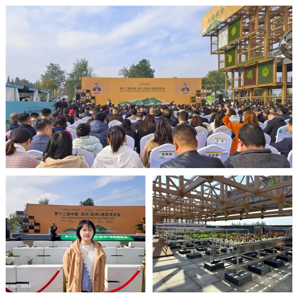 中国·6163天河(股份)有限公司-官方网站