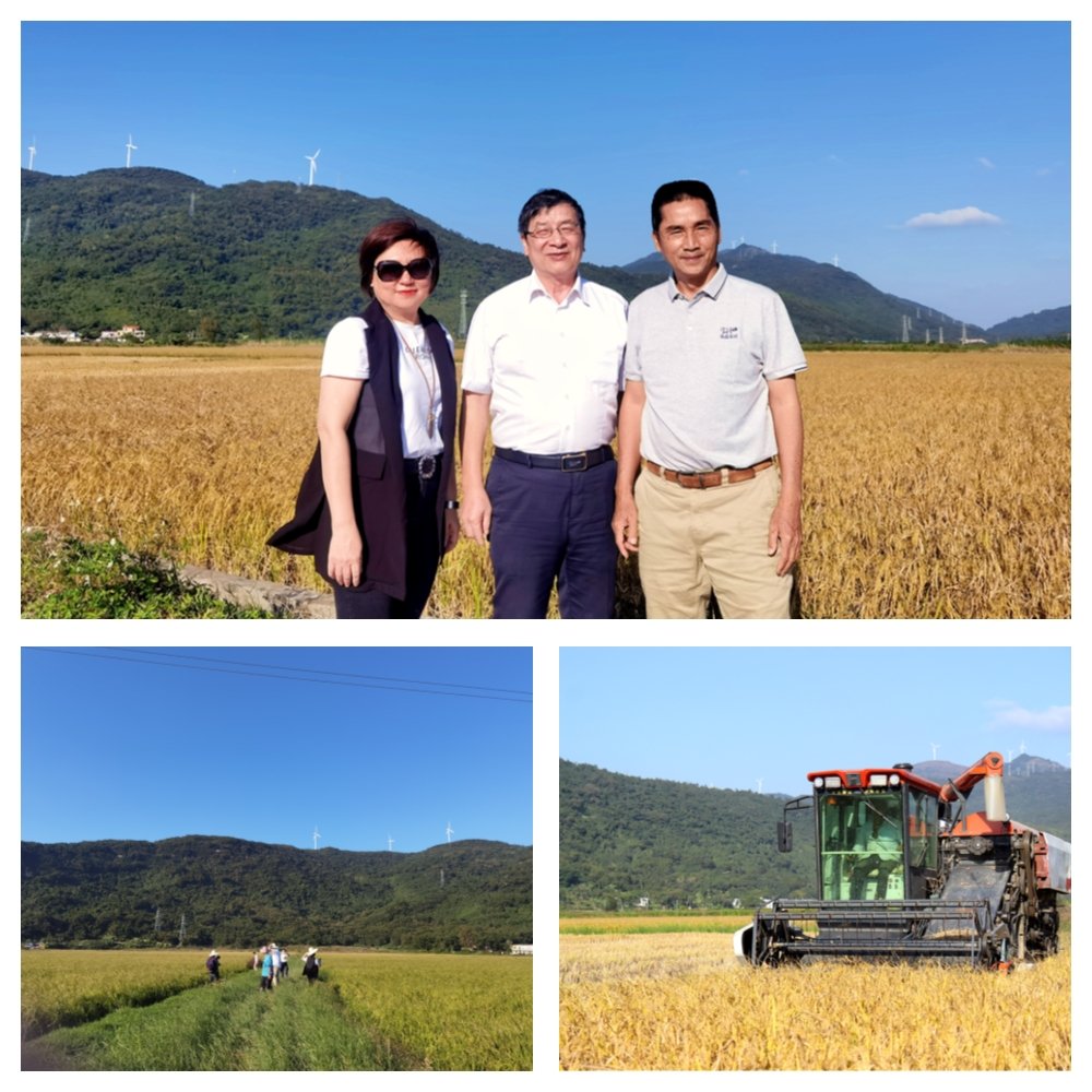 中国·6163天河(股份)有限公司-官方网站