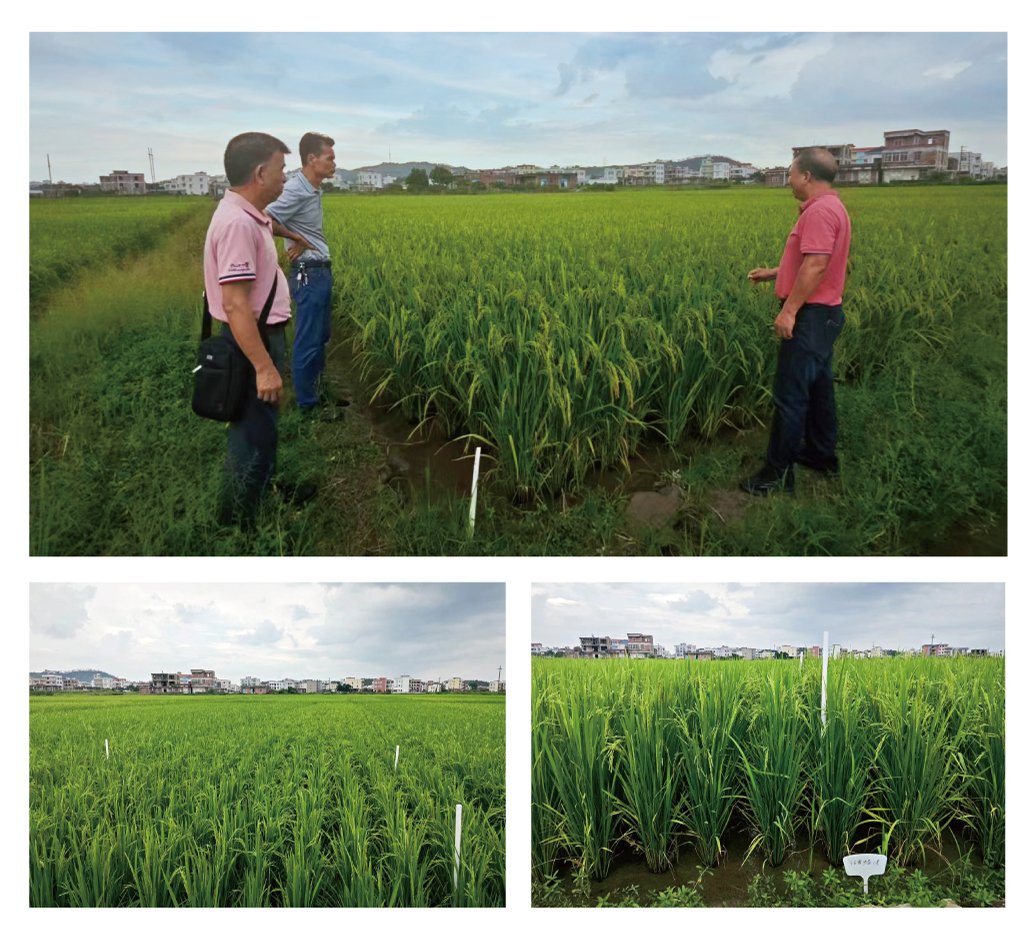 中国·6163天河(股份)有限公司-官方网站