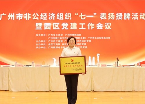 标杆引领，荣誉升级！集团党支部荣膺广州市非公有造经济组织“双强六好”标