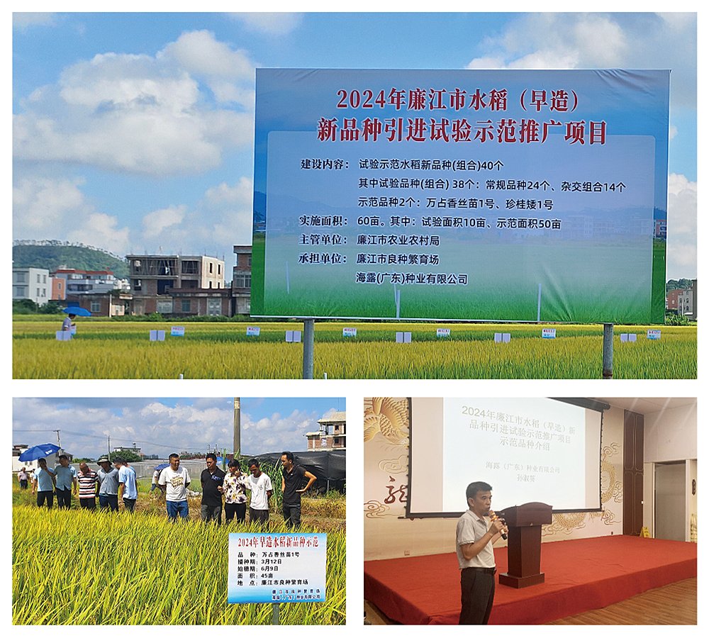 中国·6163天河(股份)有限公司-官方网站