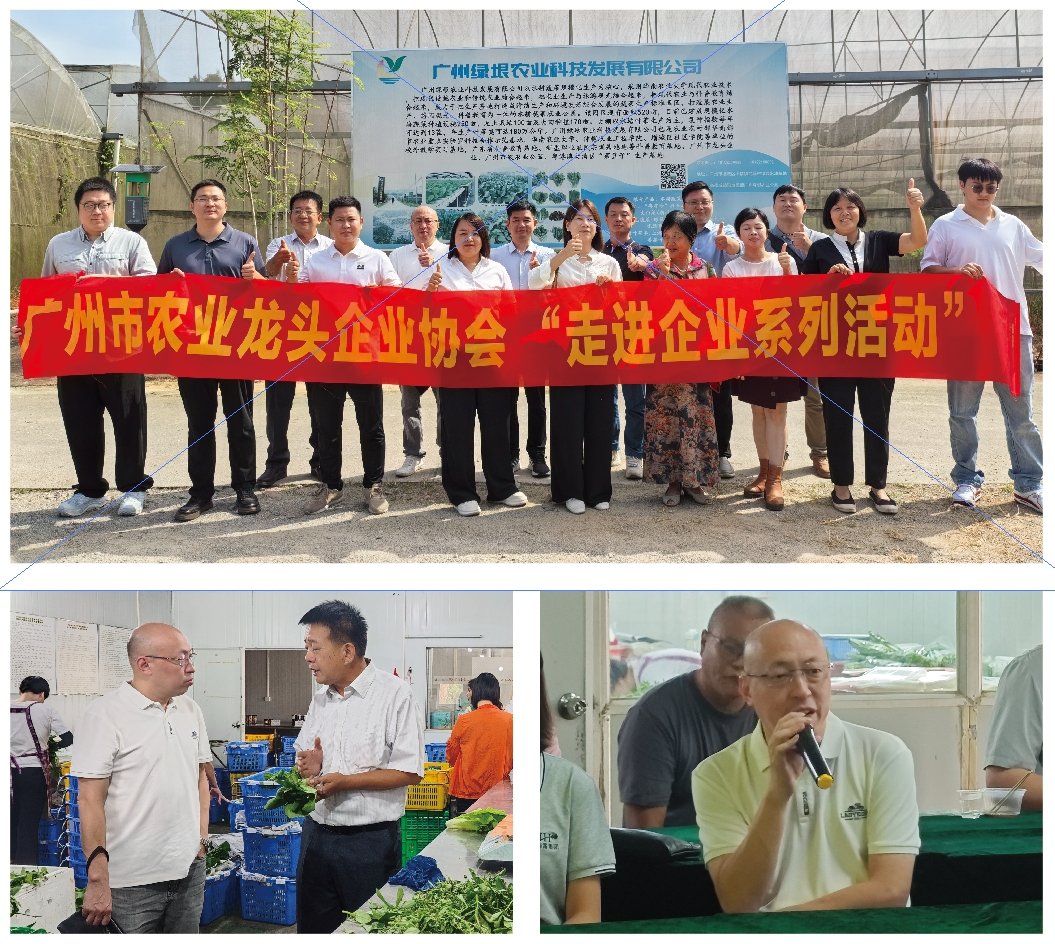 中国·6163天河(股份)有限公司-官方网站