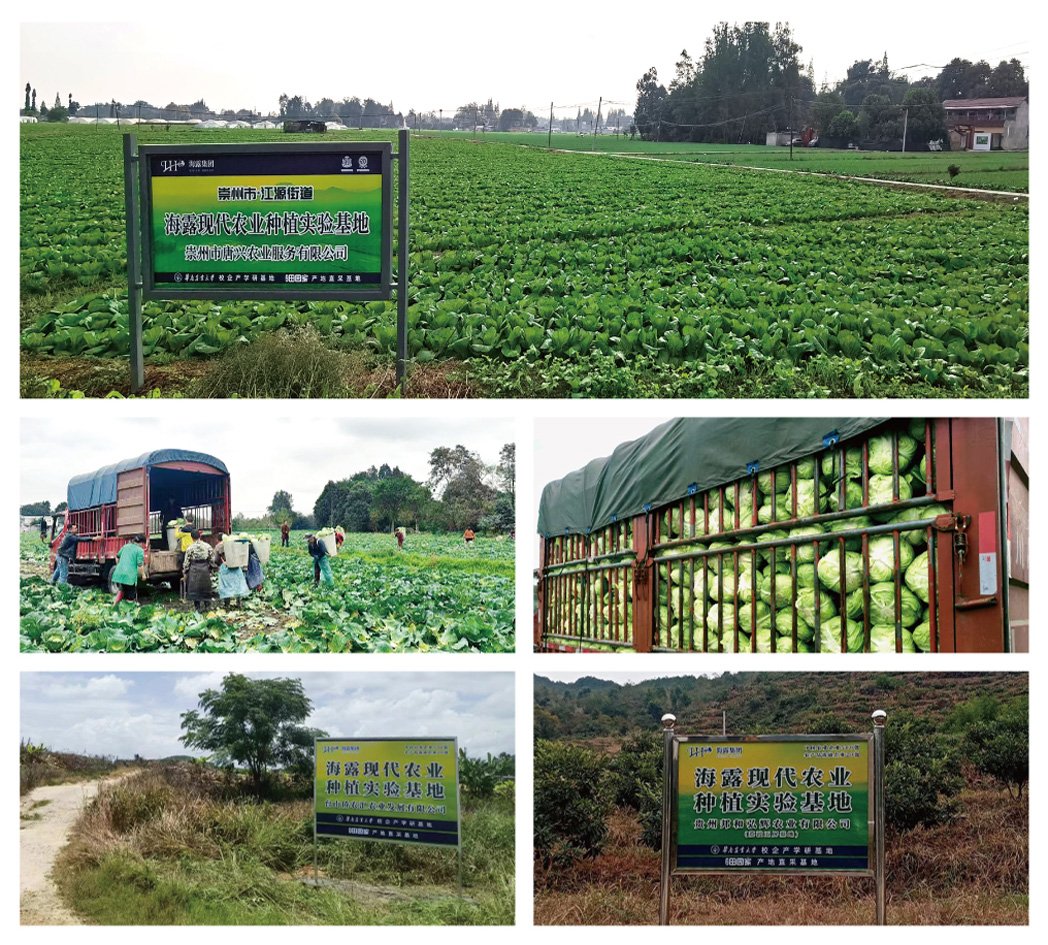 中国·6163天河(股份)有限公司-官方网站