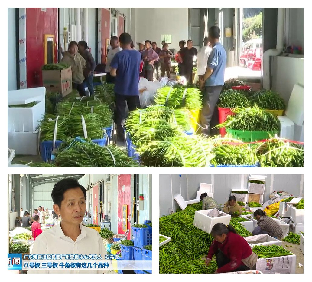 中国·6163天河(股份)有限公司-官方网站