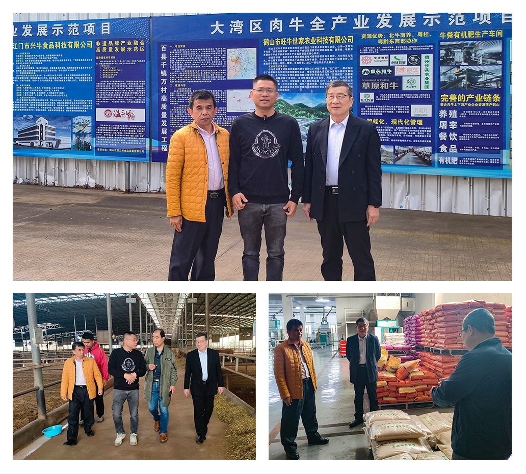 中国·6163天河(股份)有限公司-官方网站