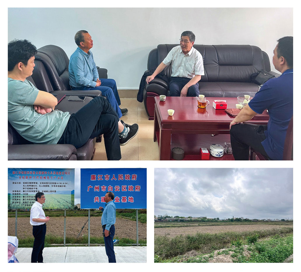 中国·6163天河(股份)有限公司-官方网站