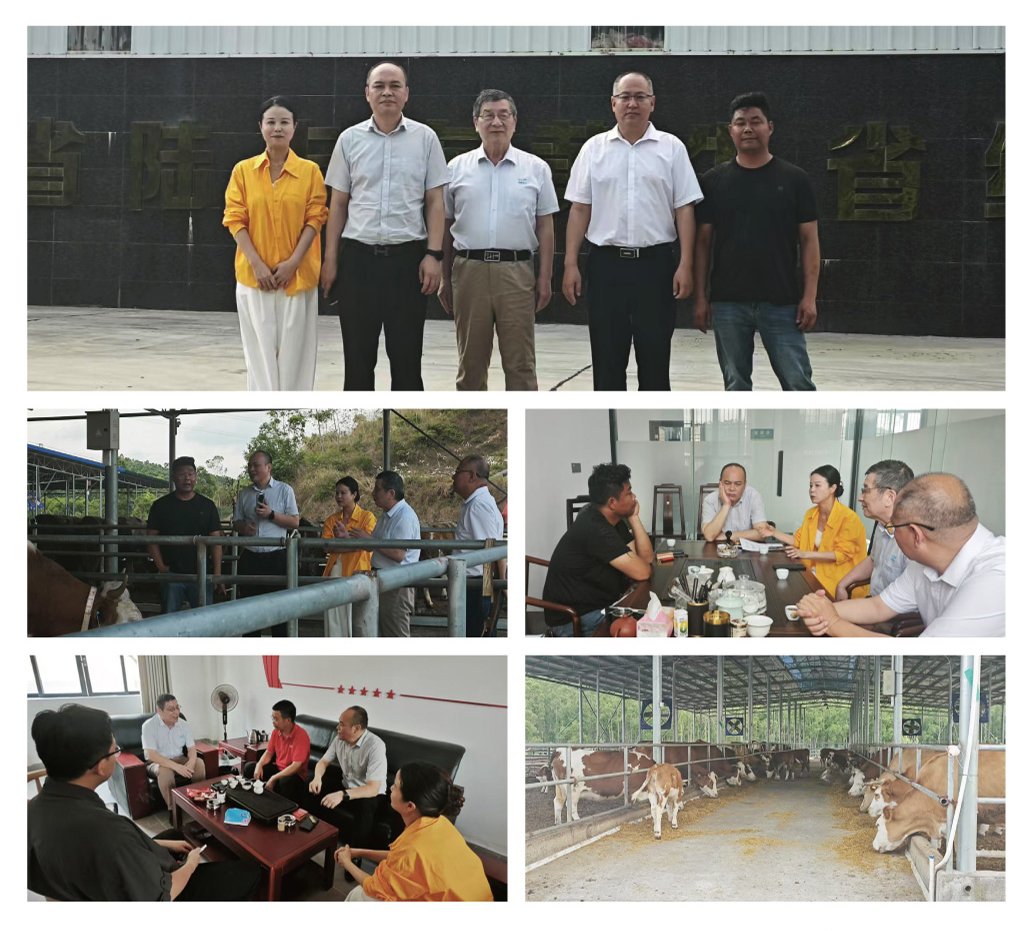 中国·6163天河(股份)有限公司-官方网站