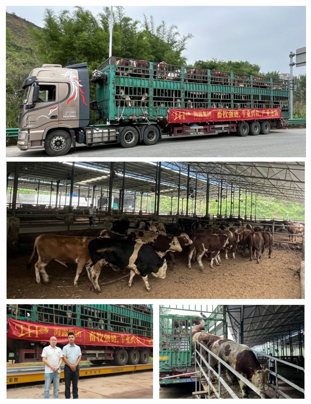 中国·6163天河(股份)有限公司-官方网站