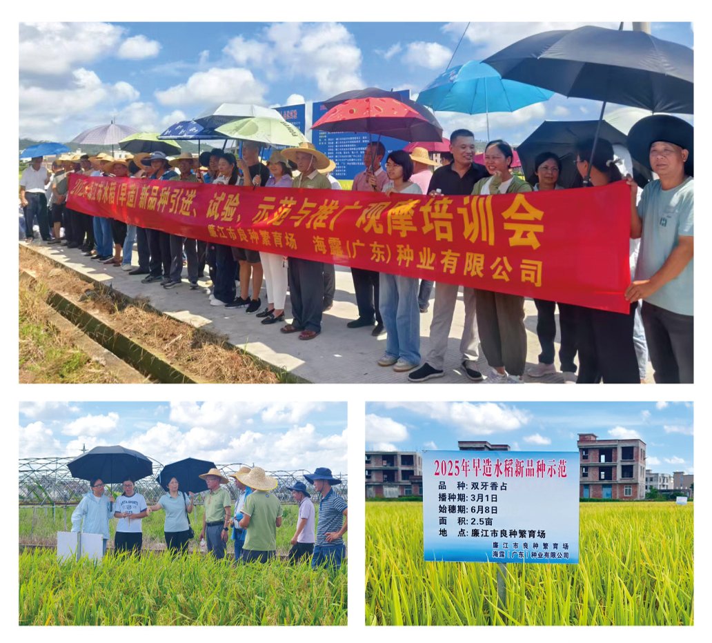 中国·6163天河(股份)有限公司-官方网站