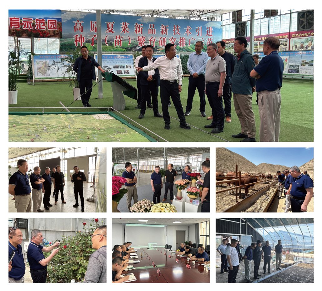 中国·6163天河(股份)有限公司-官方网站