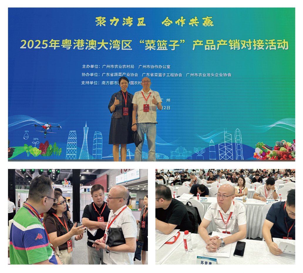 中国·6163天河(股份)有限公司-官方网站