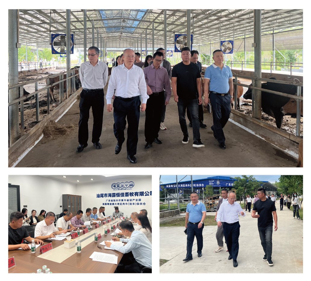 中国·6163天河(股份)有限公司-官方网站